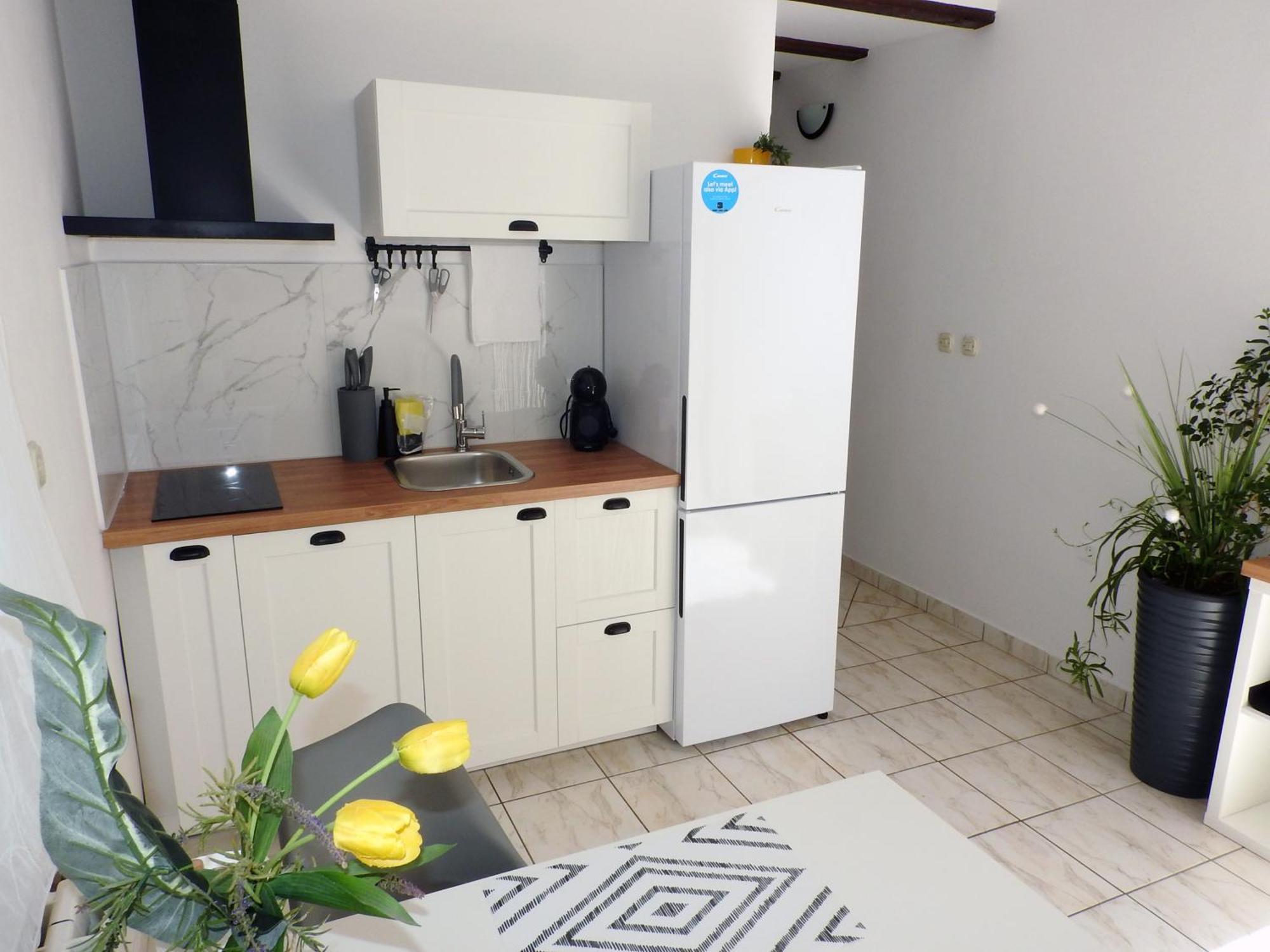 Apartman Ines- Stinjan Pula Eksteriør billede